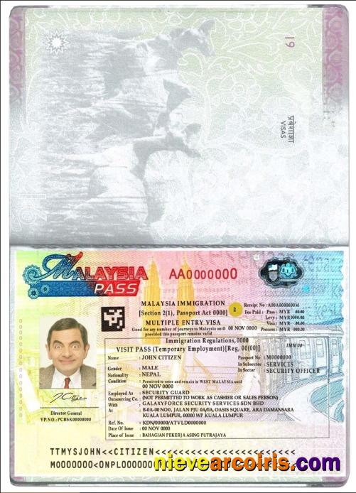 Malaysia multiple entry visa